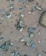 IMG_20170803_1934339.webp