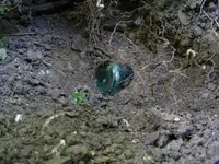 DSCF9840.webp