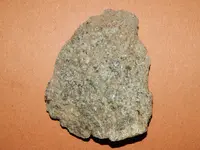 DSCN6785.webp