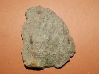 DSCN6786.webp