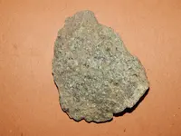 DSCN6788.webp