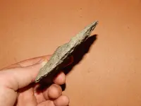 DSCN6789.webp