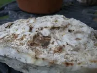 20170827_185345.webp