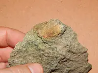 DSCN6792.webp