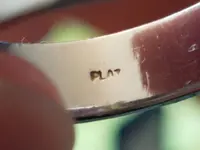 plat2ring.webp plat2ring.webp