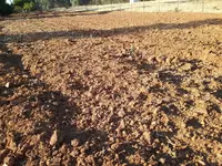 20170827_183511.webp