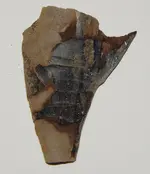 DSCN6517.webp