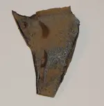 DSCN6518.webp