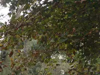 DSCF0001.webp DSCF0001.webp