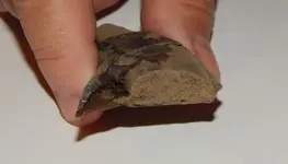 DSCN6520.webp