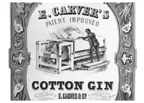 cottongin.webp