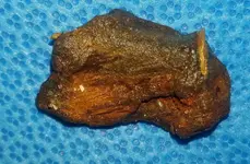 20170823_055232.webp