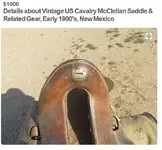 Saddle Sheild.webp