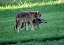K1600_DSCN3503.webp