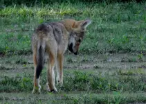 K1600_DSCN3505.webp