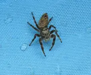 DSCN4517.webp