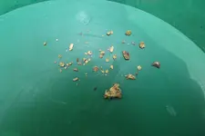 DSCF1446.webp