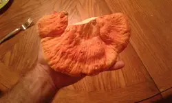 20170914_183741.webp