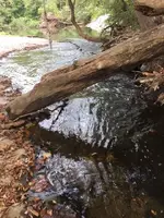 creek.webp