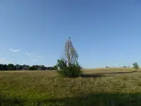 bike ride 081817 1.webp