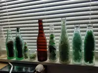 20170828_123315.webp 20170828_123315.webp