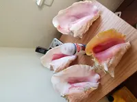 20170828_114940.webp 20170828_114940.webp