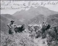 Amethest Mine Four Peaks.webp