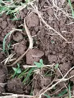 20170915_112139.webp