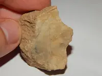 DSCN7097.webp
