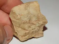 DSCN7098.webp