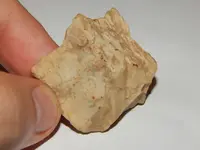 DSCN7099.webp
