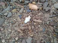 IMG_20170814_140226090.webp