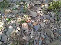 IMG_20170821_100542970 (1).webp