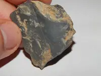 DSCN7101.webp