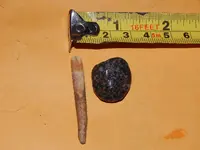 DSCN6806.webp