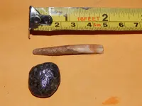 DSCN6807.webp