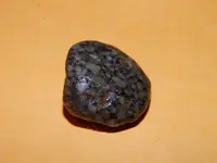 DSCN6808.webp