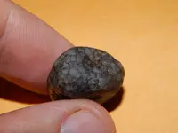 DSCN6810.webp