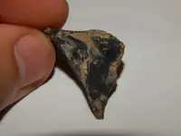 DSCN7105.webp