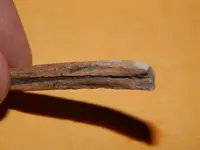 DSCN6811.webp