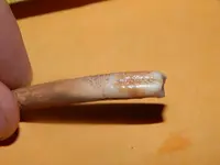 DSCN6812.webp