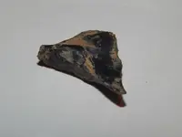 DSCN7107.webp