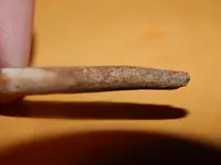 DSCN6813.webp
