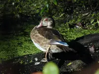 K1600_DSCN4525.webp