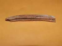DSCN6815.webp