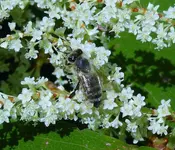 K1600_DSCN4209.webp