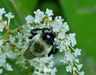 K1600_DSCN4217.webp