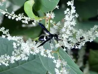 K1600_DSCN4255.webp