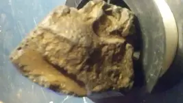 20170828_161156_HDR.webp
