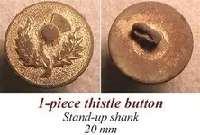 thLK1VDSM2 thistle.webp